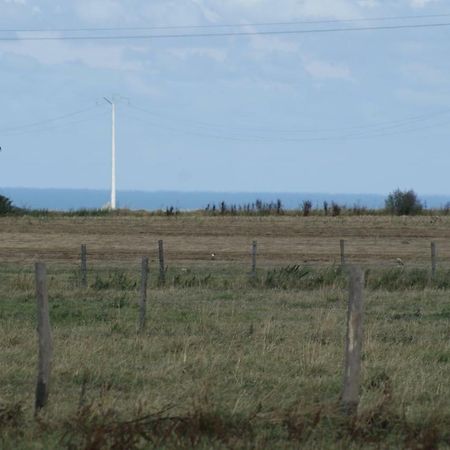 Le Tiot Gite Le Bois de Cise Bagian luar foto