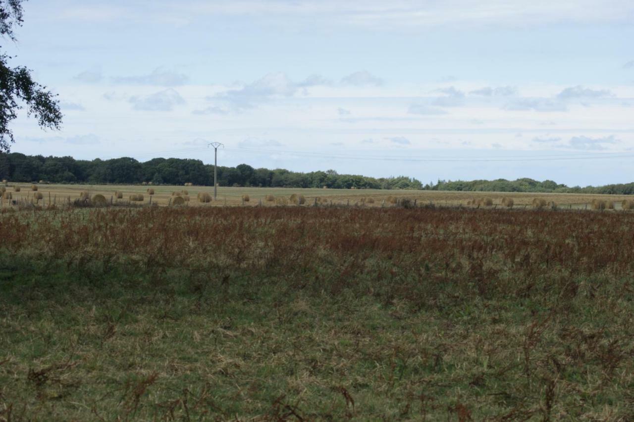 Le Tiot Gite Le Bois de Cise Bagian luar foto